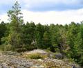 images/Schweden/Schweden 2012/IMG_0649.jpg